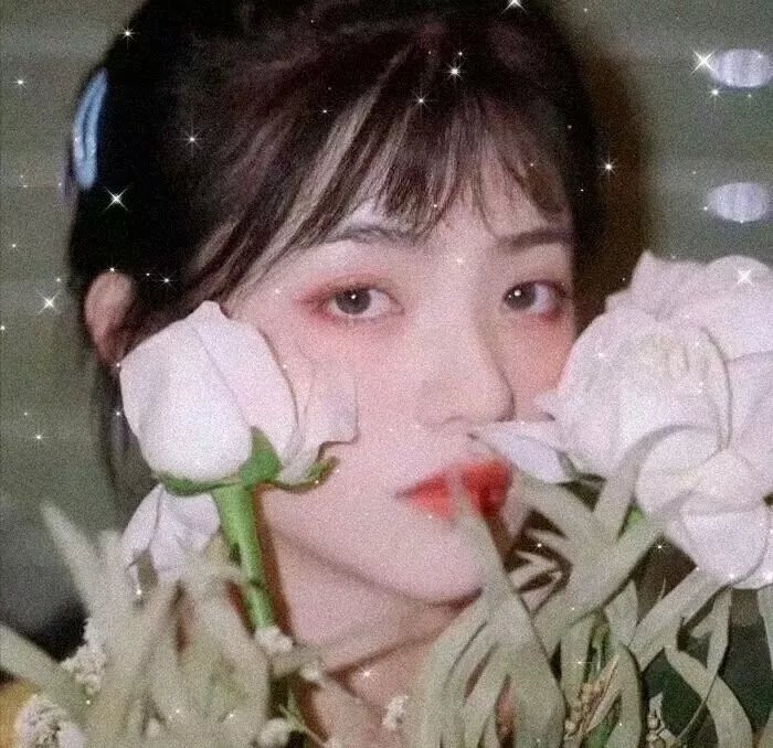 妖精琳琳的秘密